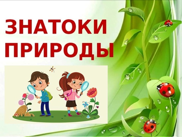 Викторина «Знатоки садоводы».